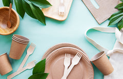 Sal Sol Sabe: Desechables biodegradables. Pros y contras