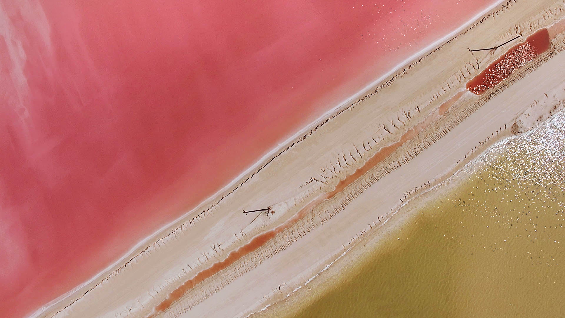 Por qué el agua es rosa en Las Coloradas, Yucatán? – SAL ROCHE